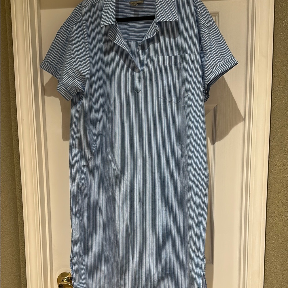 Style & Co button up Blue Striped Shirt dress